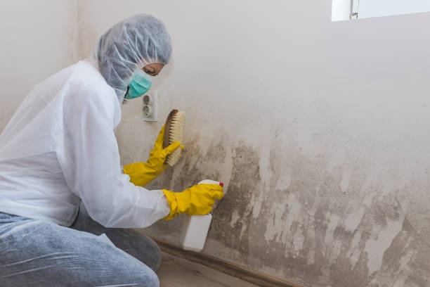 Martinsville, VA Mold Remediation Company