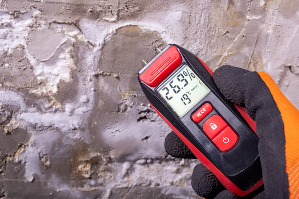 Best Health and Safety Mold Remediation in Martinsville, VA