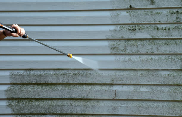 Best Residential Mold Remediation in Martinsville, VA