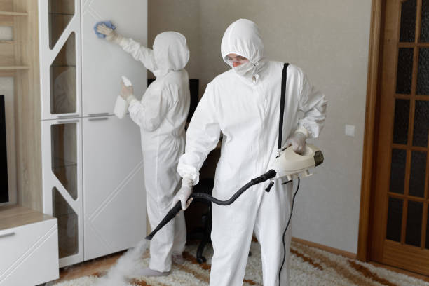 Best Kitchen Mold Remediation in Martinsville, VA