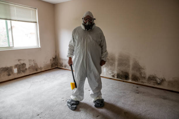 Best Mold Remediation for Schools in Martinsville, VA